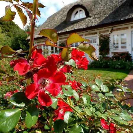 Landhaus Vilmnitz Lejlighed *